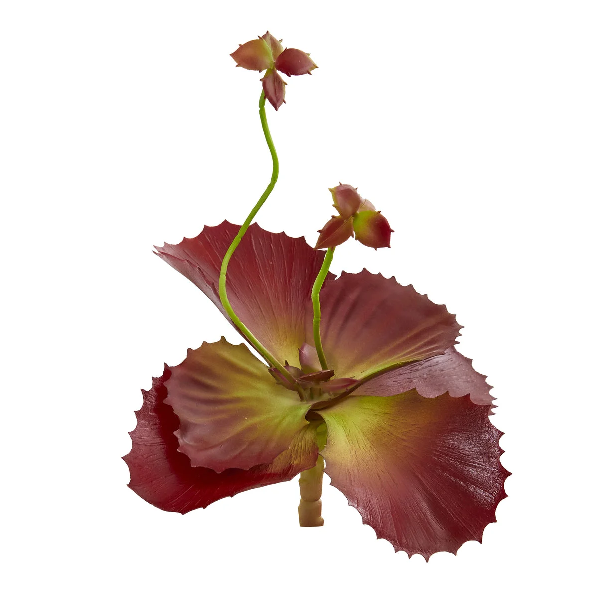 Nearly Natural 2300-S12 10" Artificial Maroon Succulent Plant, Set of 12