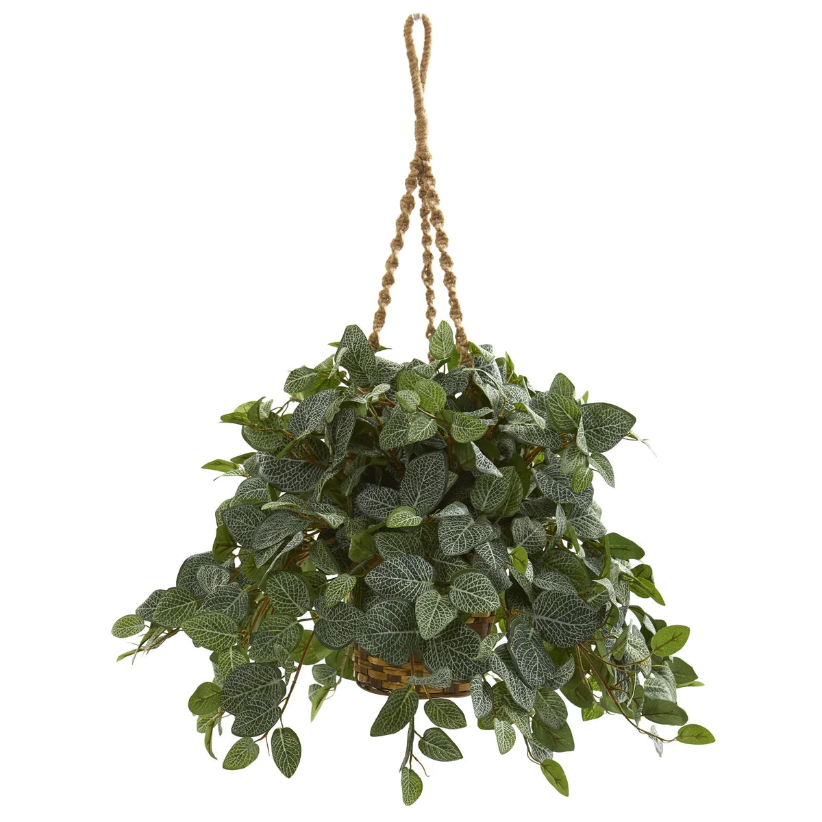 Nearly Natural 8586 34" Artifical Green Fittonia Plant in Hanging Basket
