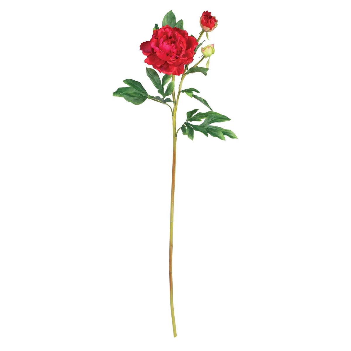 Nearly Natural 38.5`` Peony w/Leaves Stem (Set of 12)