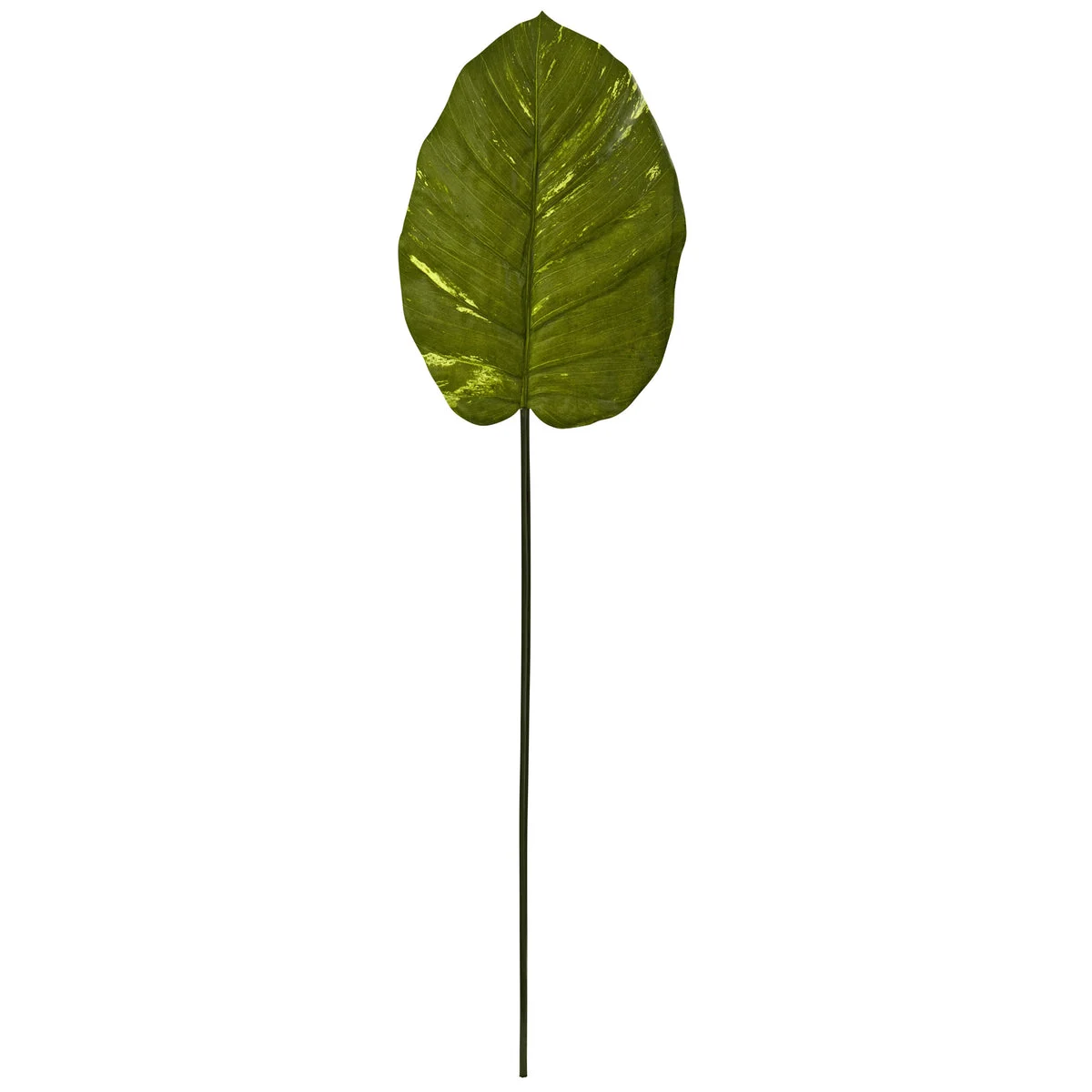 Nearly Natural 6121-S12 37.5" Artificial Green Real Touch Giant Pothos Leaf, Set of 12
