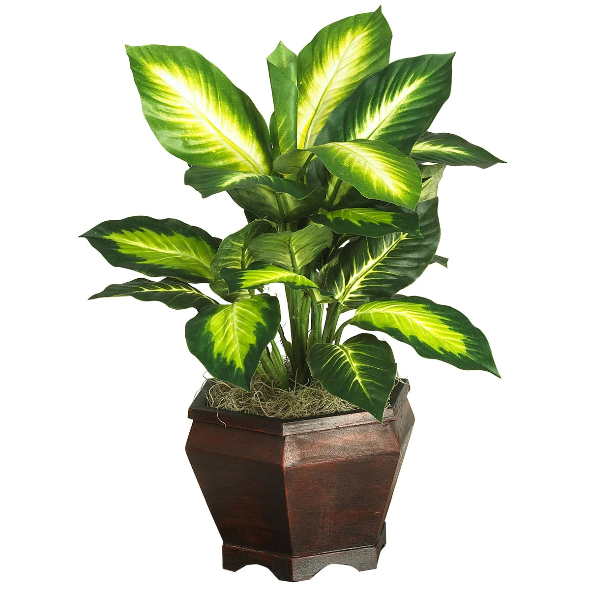 Nearly Natural Golden Dieffenbachia w/Wood Vase Silk Plnat