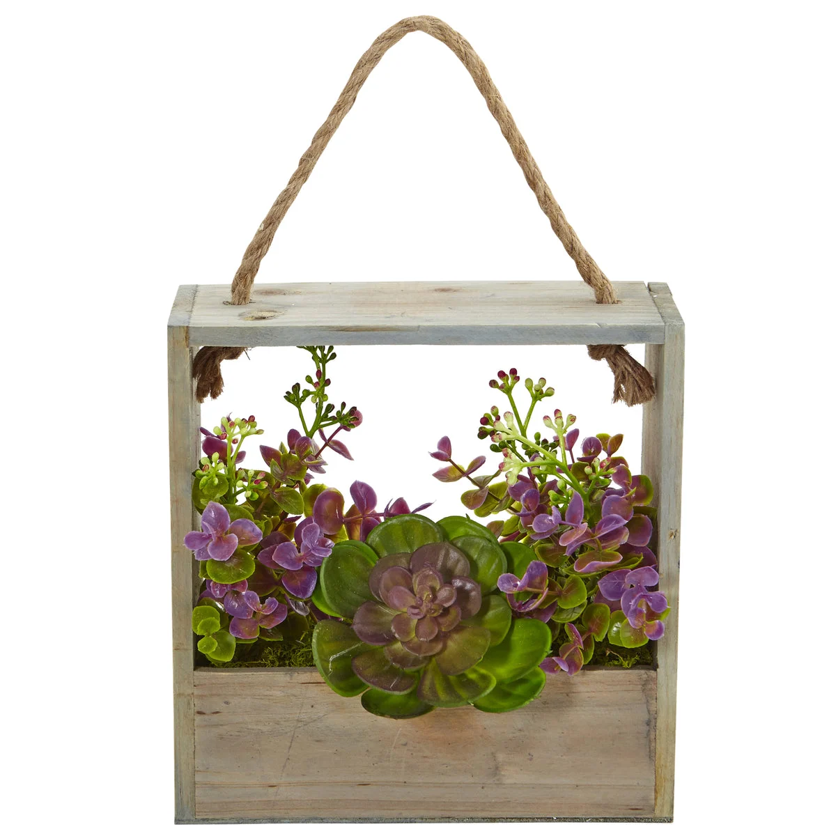 Nearly Natural 6300 12.5" Artificial Green & Purple Echeveria Succulent & Eucalyptus Plant in Hanging Frame