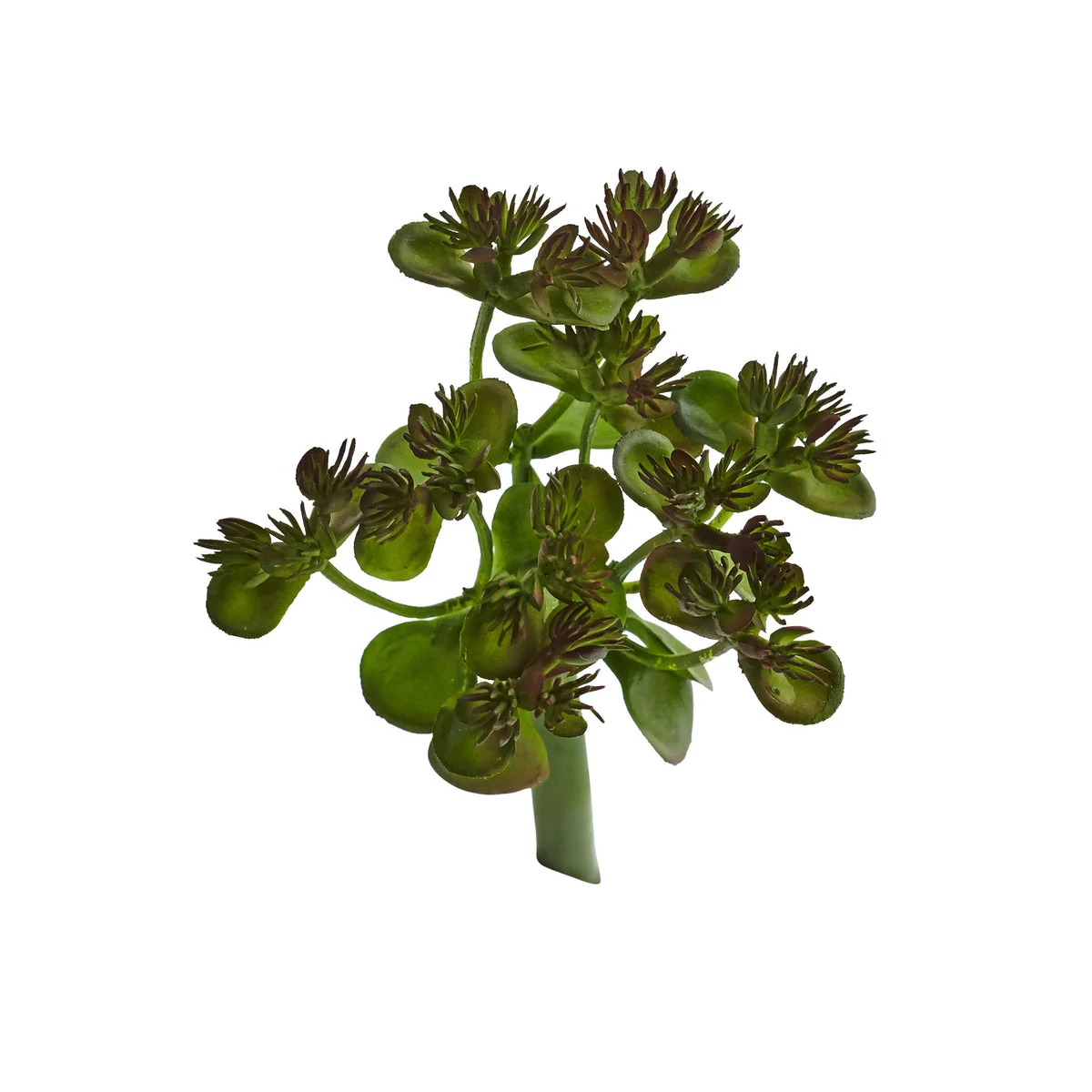 Nearly Natural 6167-S12 5.75" Artificial Green Sedum Succulent Plant, Set of 12