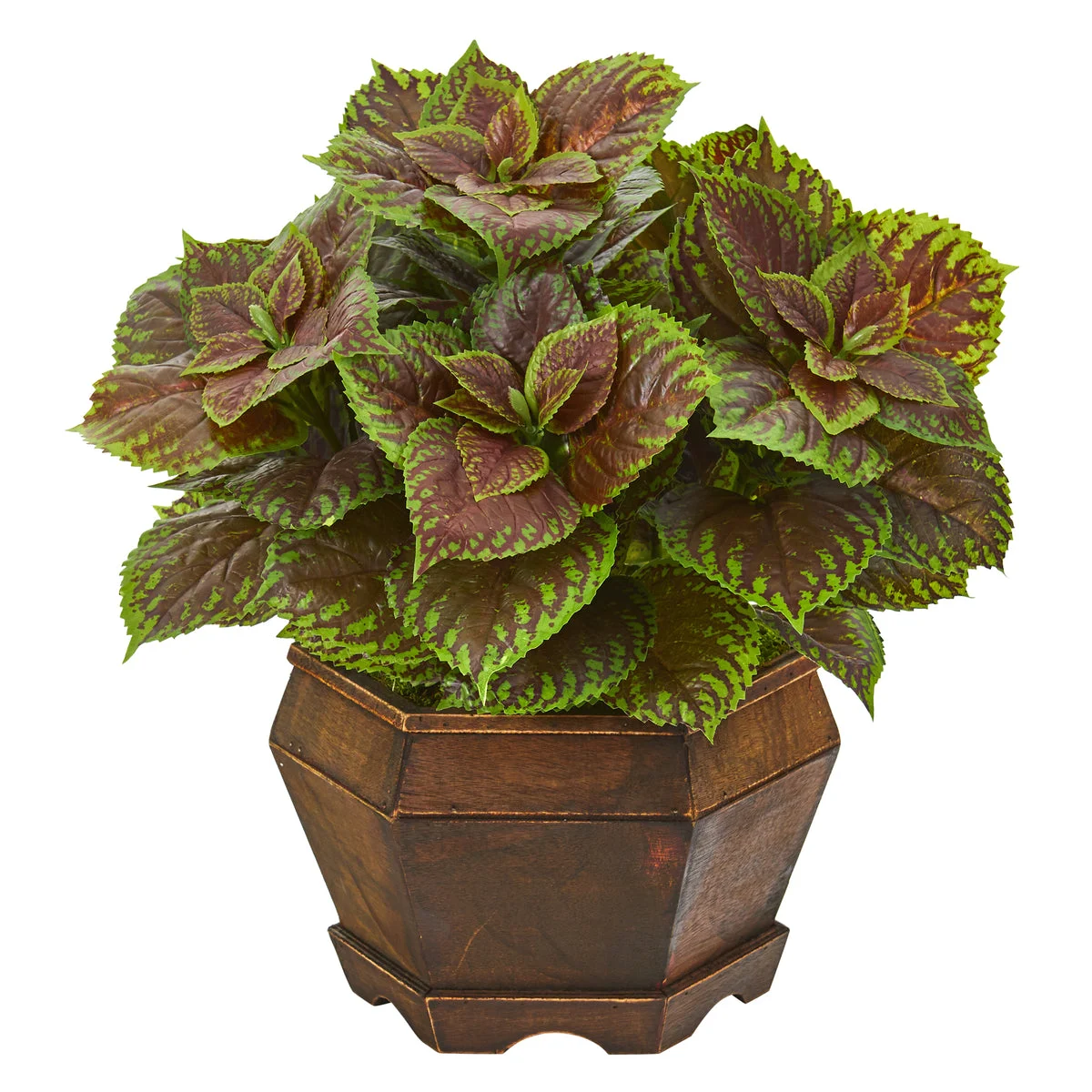 Nearly Natural P1008 17" Artificial Green & Brown Real Touch Coleus Plant in Decorative Planter
