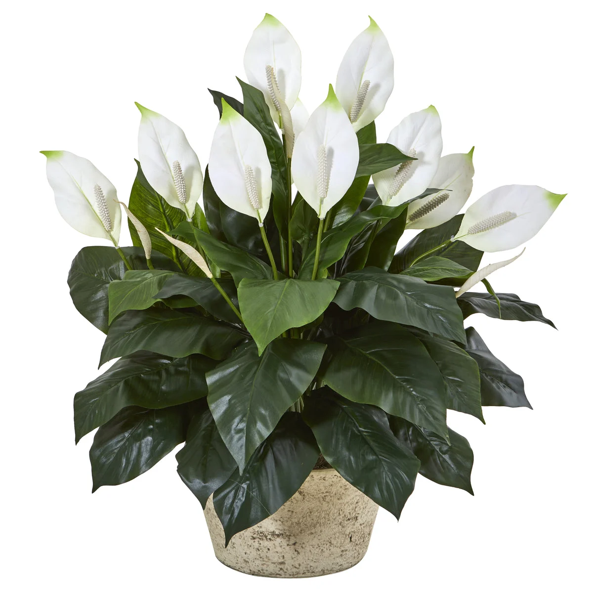 Nearly Natural 8804 35" Artificial Green & White Spathifyllum Plant in White Planter