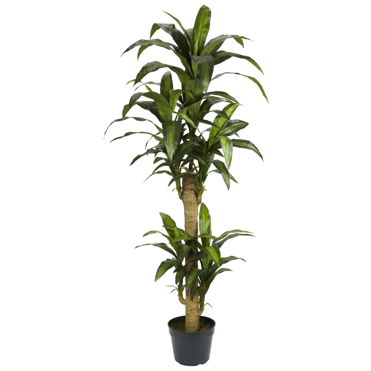 Nearly Natural 5` Yucca Silk Plant