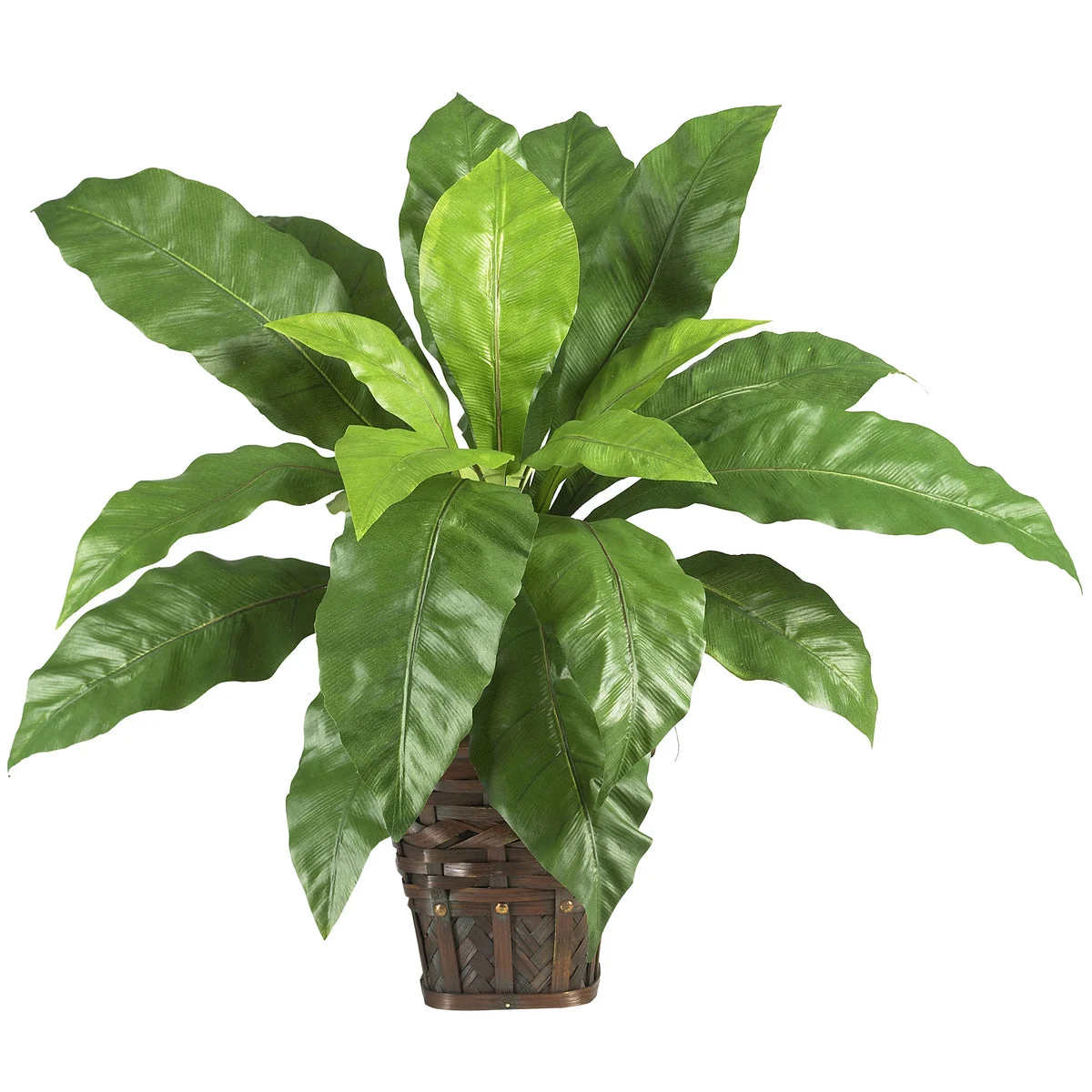 Nearly Natural Mixed Greens Zebra w/Wicker Silk Plant
