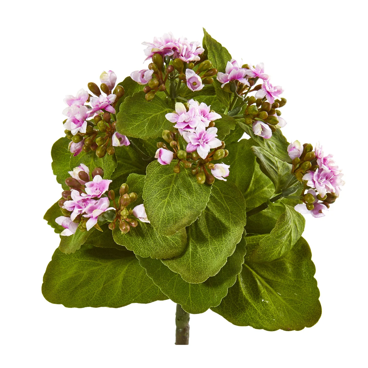 Nearly Natural 8`` Kalanchoe Artificial Bush Flower (Set of 6)