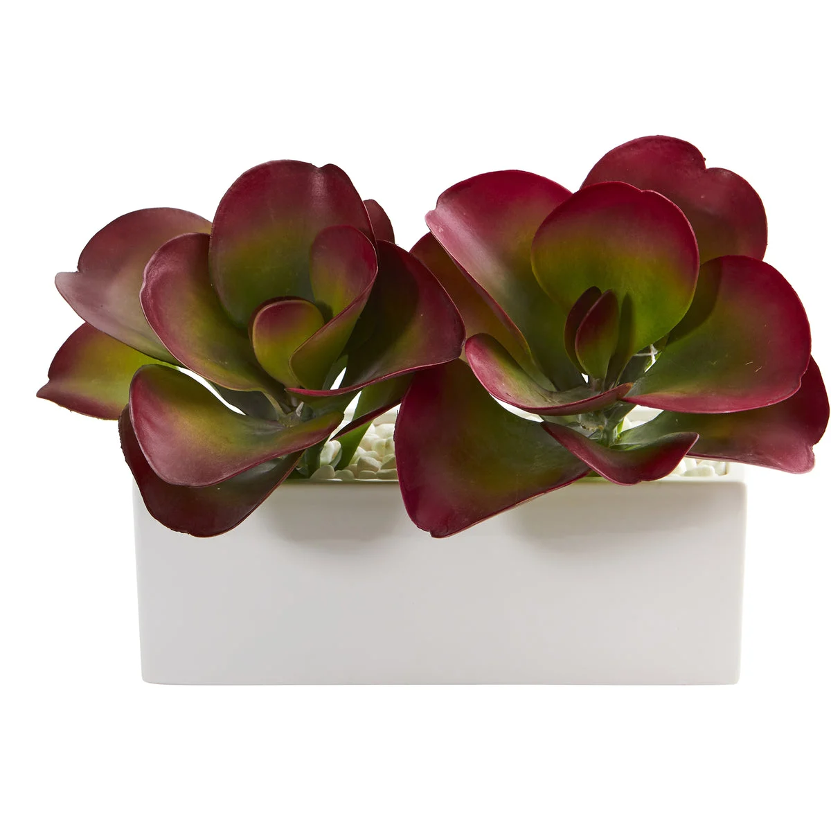 Nearly Natural P1295 11" Artificial Maroon Succulent Plant in White Planter