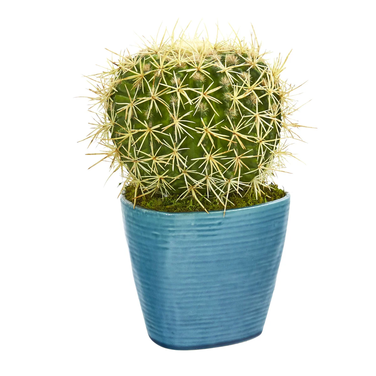 Nearly Natural P1064 11" Artificial Green Cactus Succulent Plant in Blue Planter