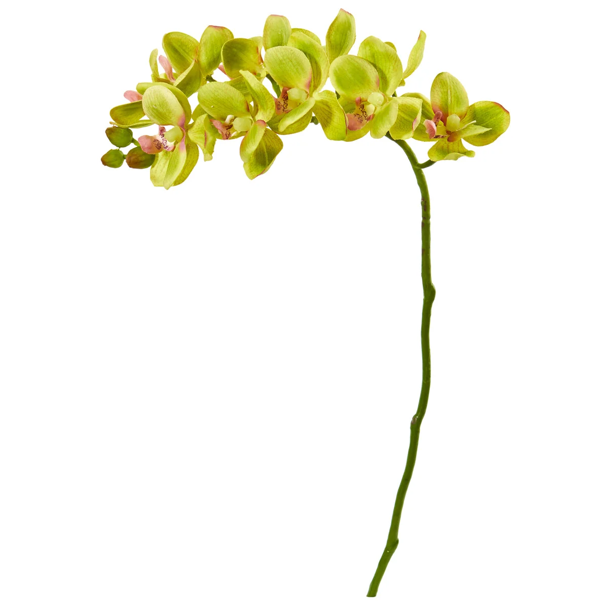 Nearly Natural 21`` Phalaenopsis Orchid Artificial Flower (Set of 6)