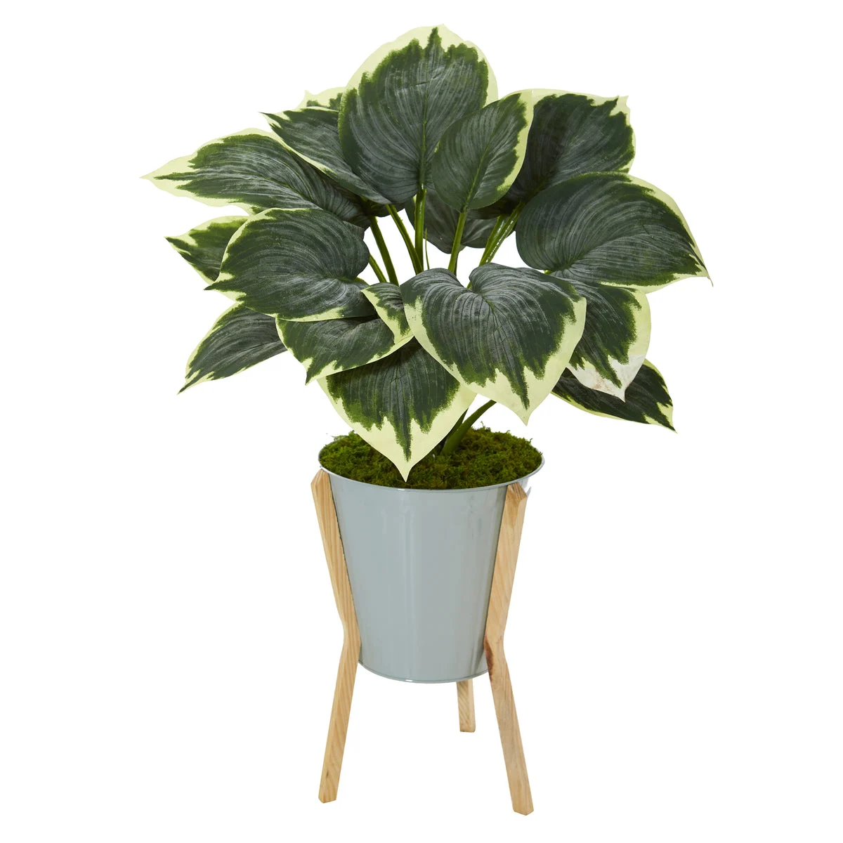 Nearly Natural P1093 28" Artificial Green Variegated Hosta Plant in Green Planter with Stand