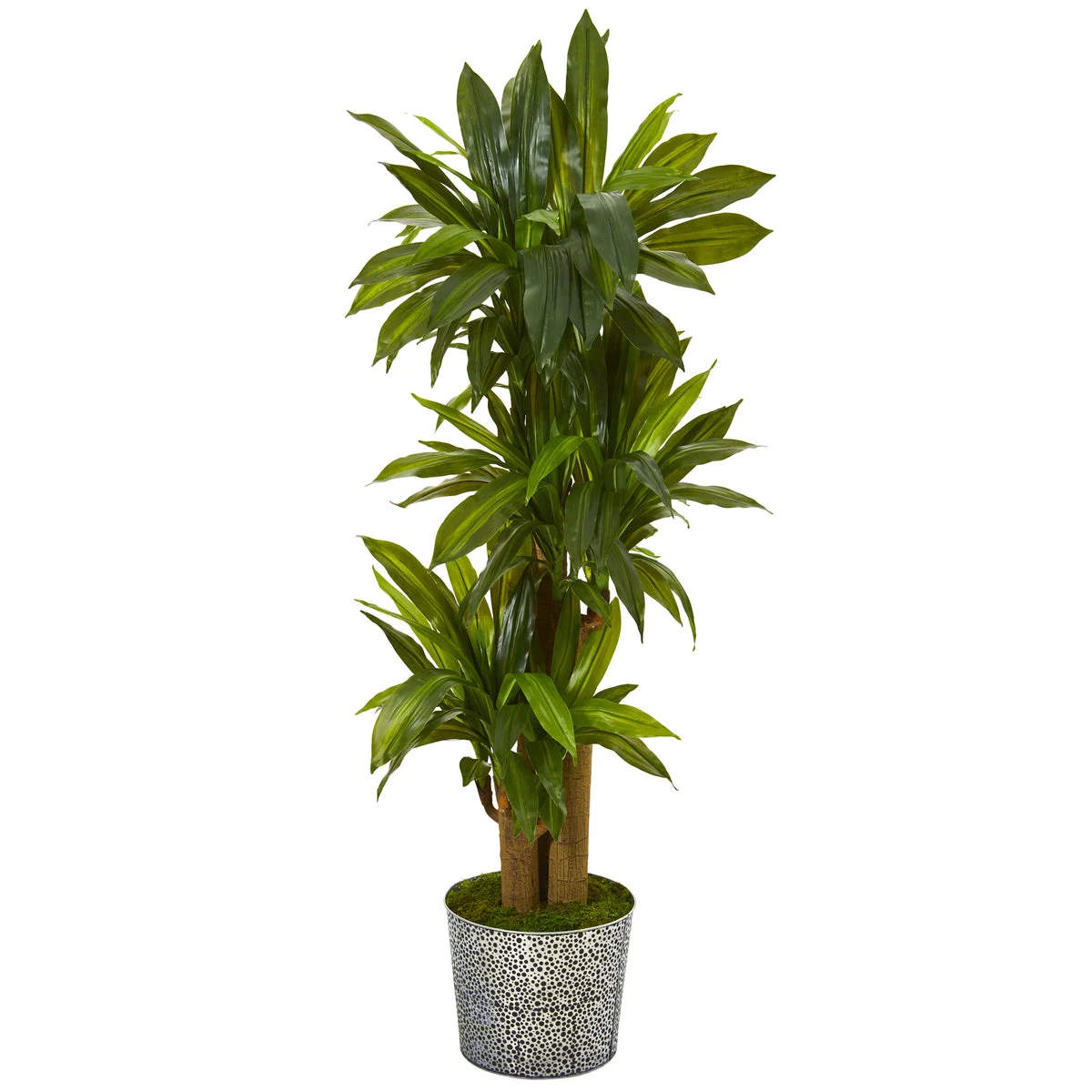 Nearly Natural T1047 58" Artificial Green Real Touch Corn Stalk Dracaena Plant in Black Embossed Tin Planter