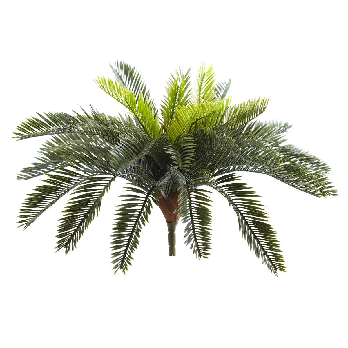 Nearly Natural 6075-S2 13" Artificial Green Cycas Plant, Set of 2