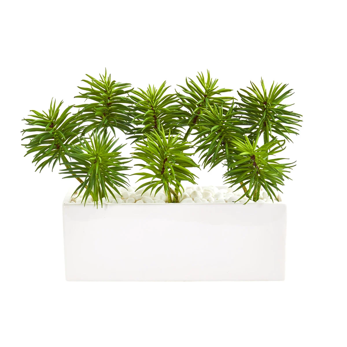 Nearly Natural 8471 10" Artificial Green Spiky Succulent Garden Plant in White Ceramic Vase