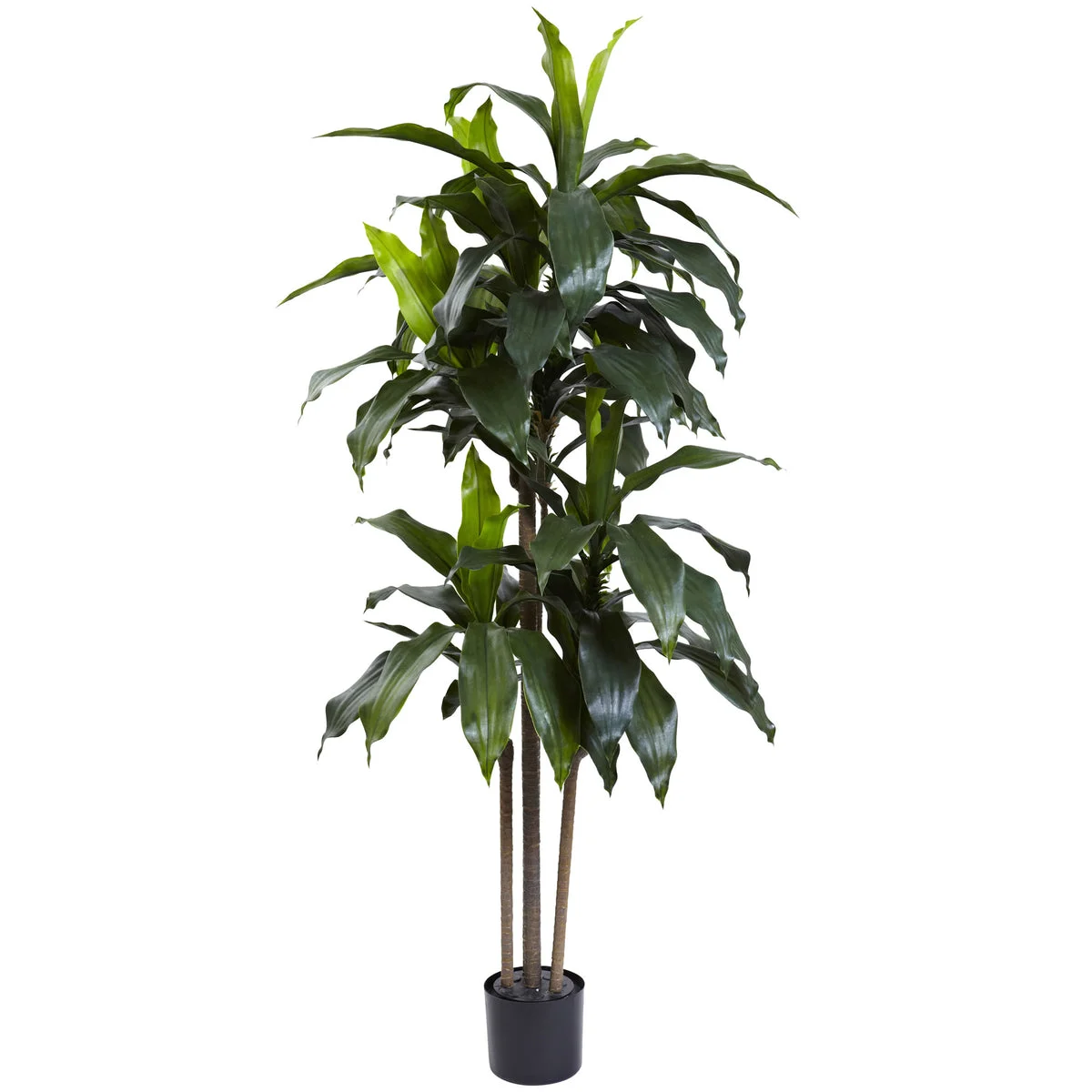 Nearly Natural 5446 5' Artificial Green Dracaena Plant, UV Resistant (Indoor/Outdoor)