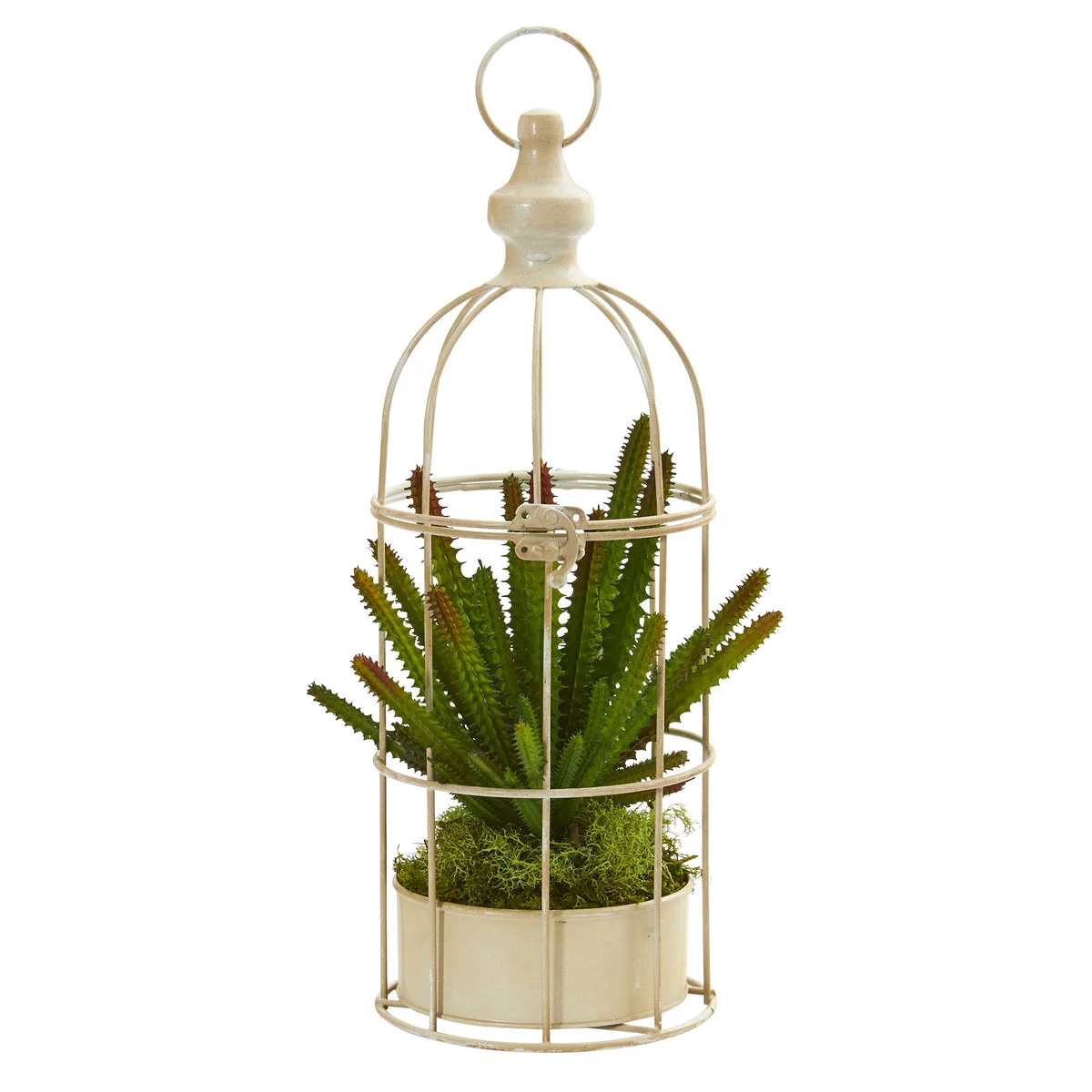Nearly Natural P1282 15" Artificial Green Cactus Succulent Plant in Decorative Cage