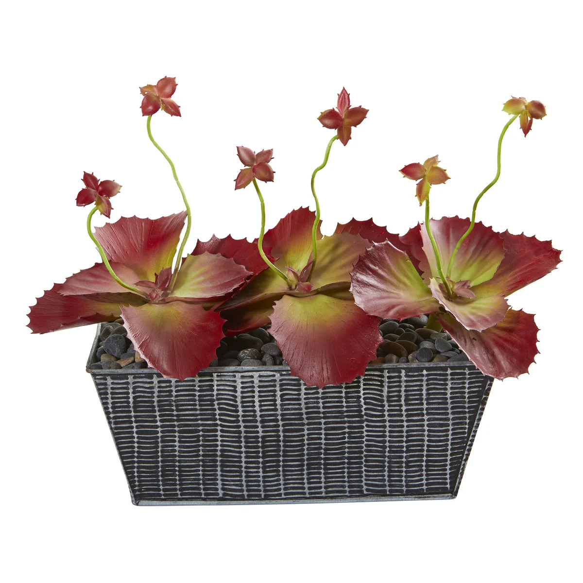 Nearly Natural P1158 9" Artificial Maroon Succulent Plant in Embossed Tin Planter
