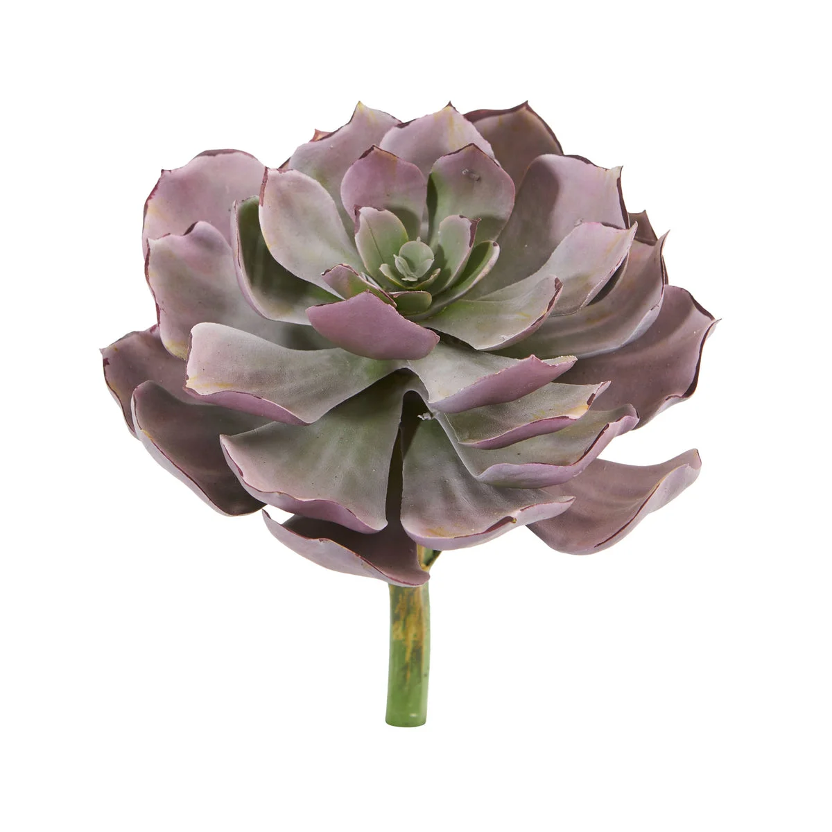 Nearly Natural 8`` Echeveria Succulent Artificial Plant (Set of 6)