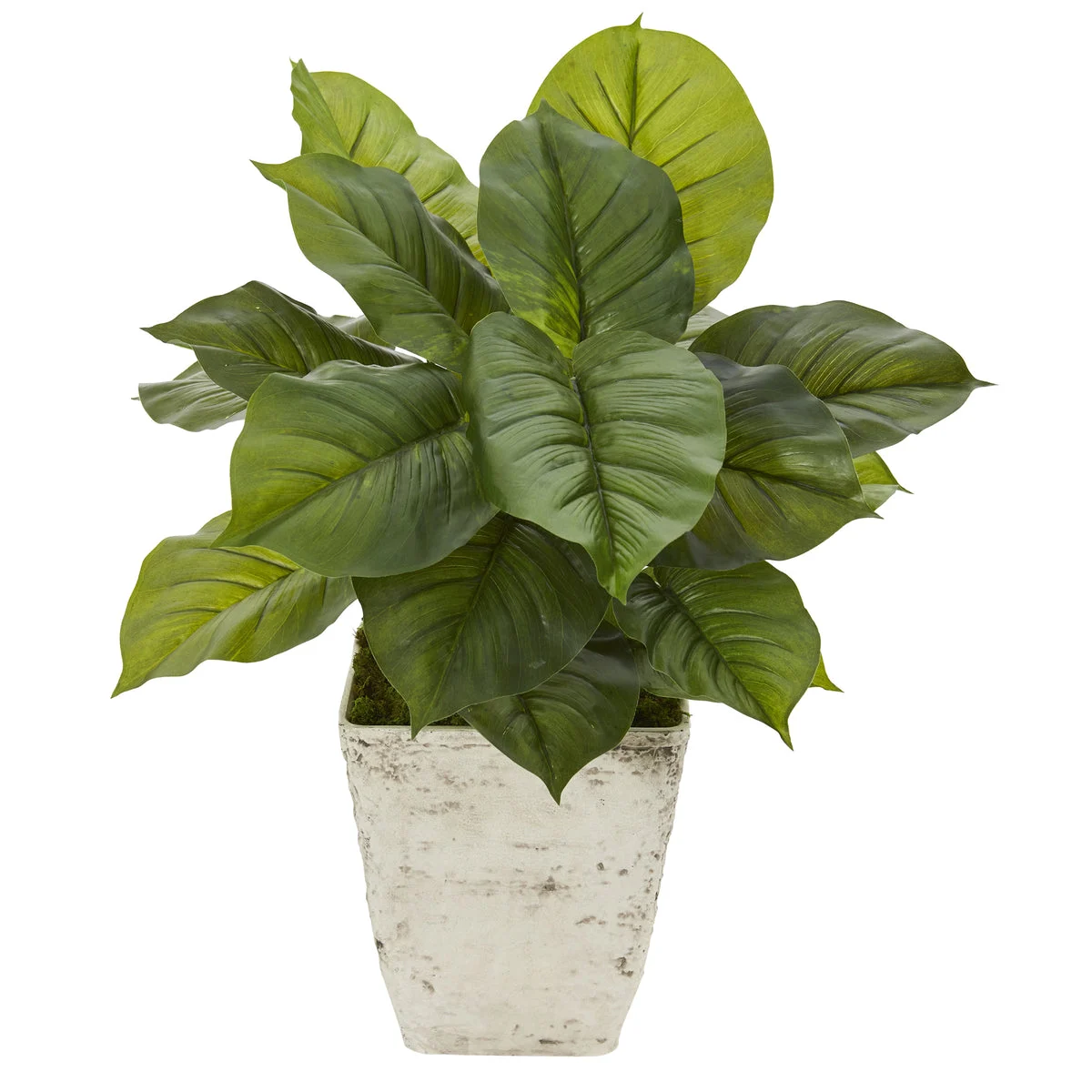 Nearly Natural P1111 30" Artificial Green Real Touch Large Philodendron Plant in Country White Planter