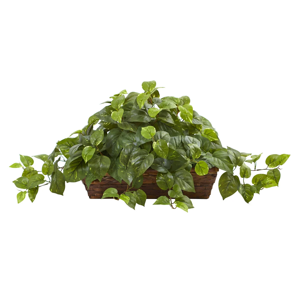 Nearly Natural 6818 15" Artificial Green Pothos with Ledge Basket