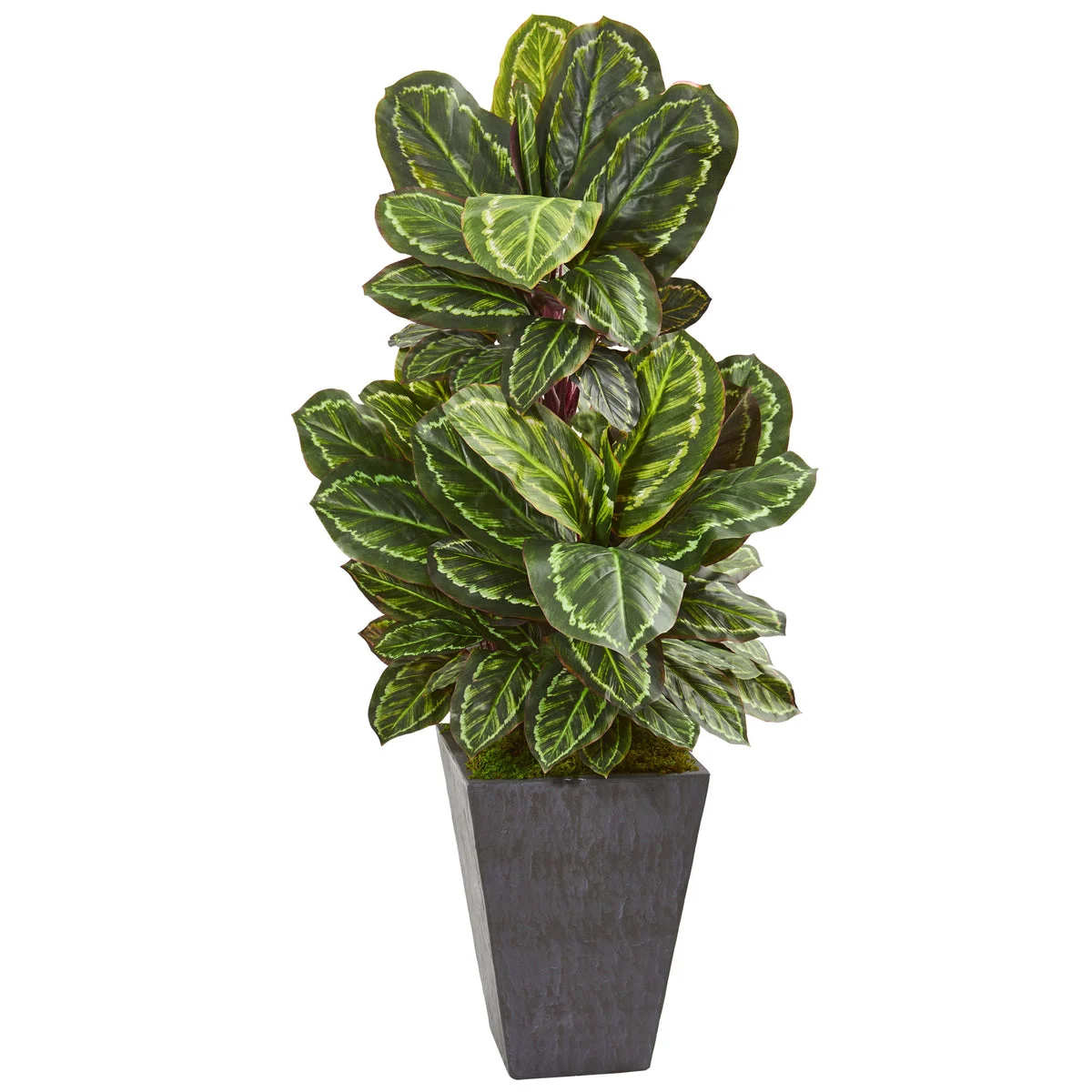 Nearly Natural 8407 53" Artificial Green Maranta Plant in Slate Finished Planter