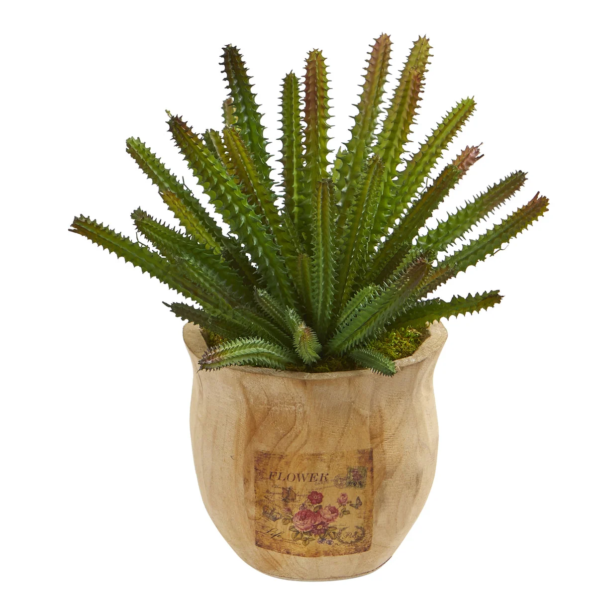 Nearly Natural P1260 10" Artificial Green Cactus Succulent Plant in Decorative Planter
