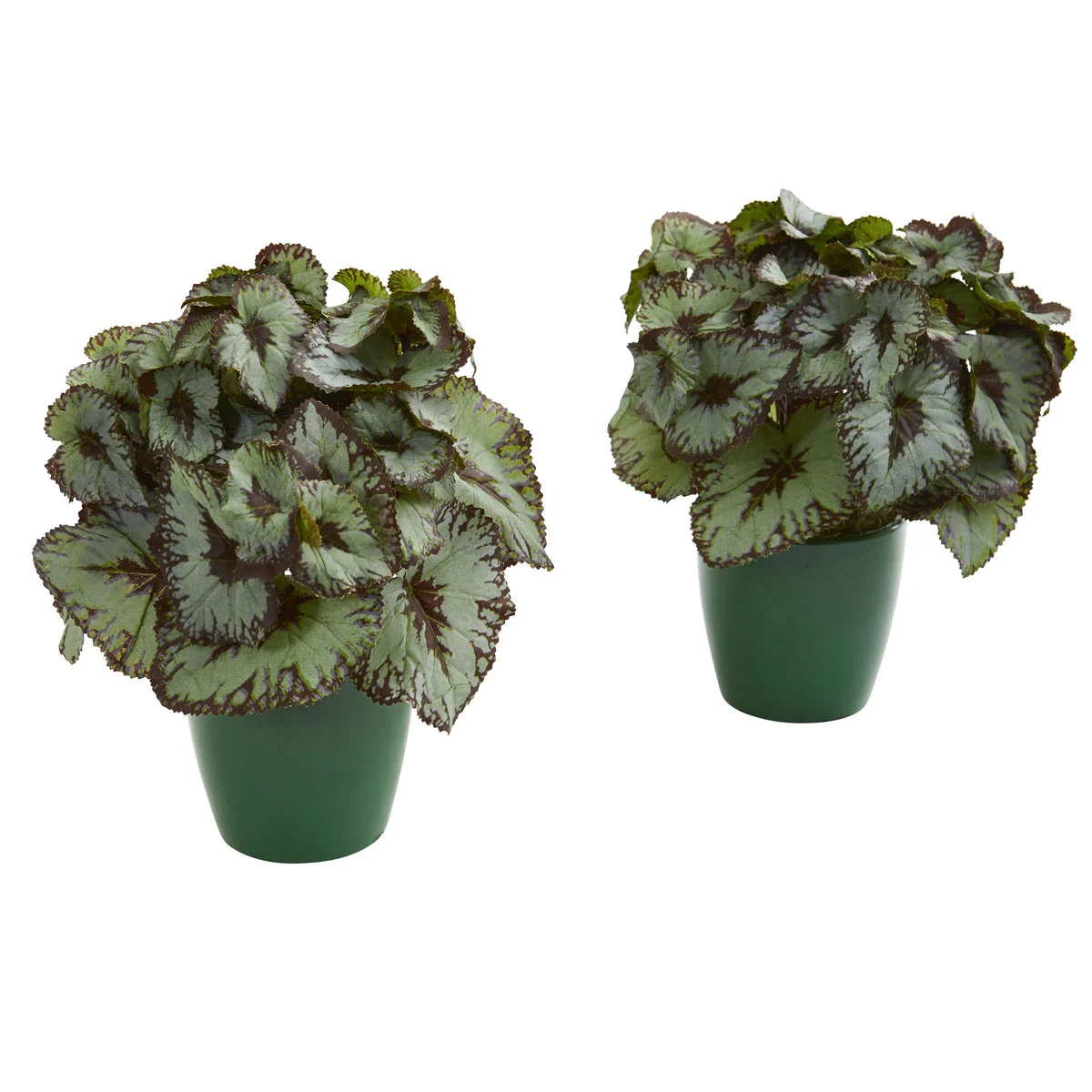 Nearly Natural 8201-S2 9" Artificial Green Rex Begonia Plant in Green Planter, Set of 2