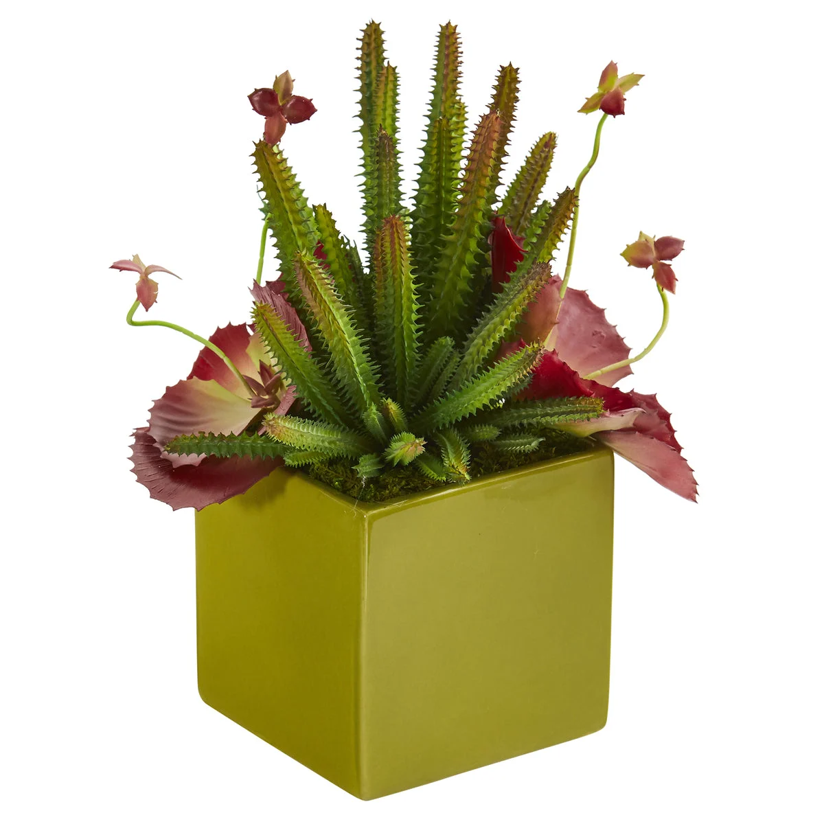 Nearly Natural P1267 11" Artificial Green & Maroon Succulent Plant in Green Planter