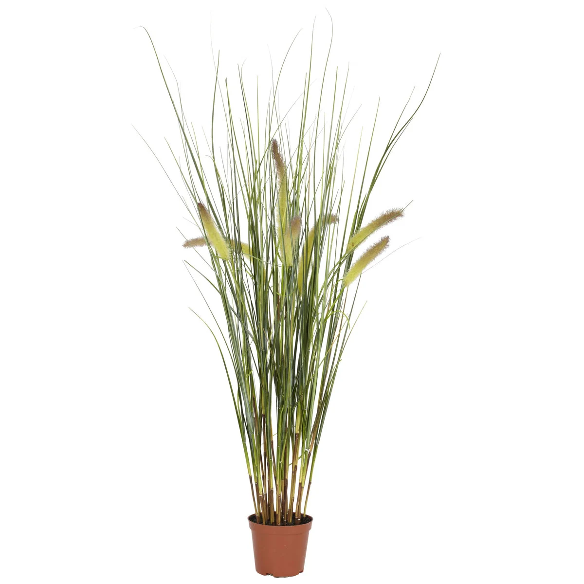 Nearly Natural 2.5` Grass Plant