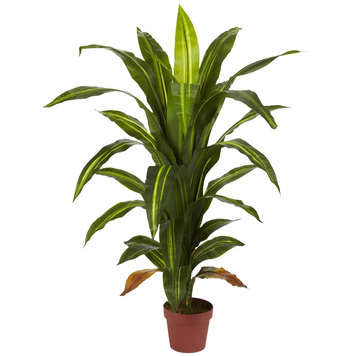 Nearly Natural 4` Dracaena Silk Plant (Real Touch)