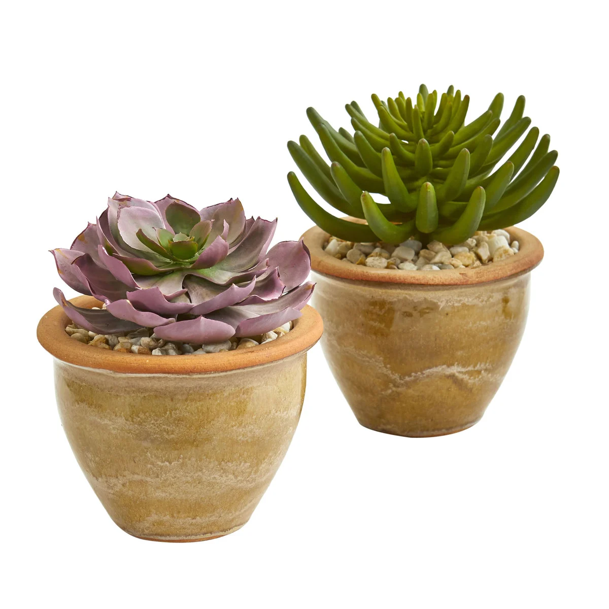 Nearly Natural 8444-S2 10" Artificial Green & Purple Large Succulent Plant in Ceramic Vase, Set of 2
