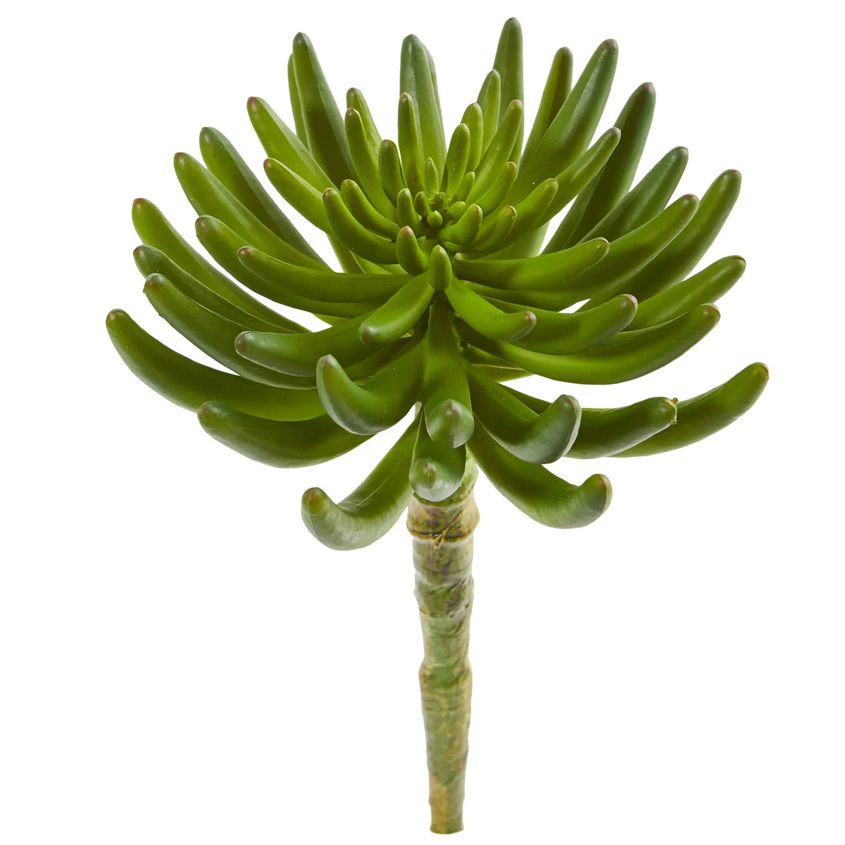 Nearly Natural 6239-S6 12" Artificial Green Succulent Plant, Set of 6