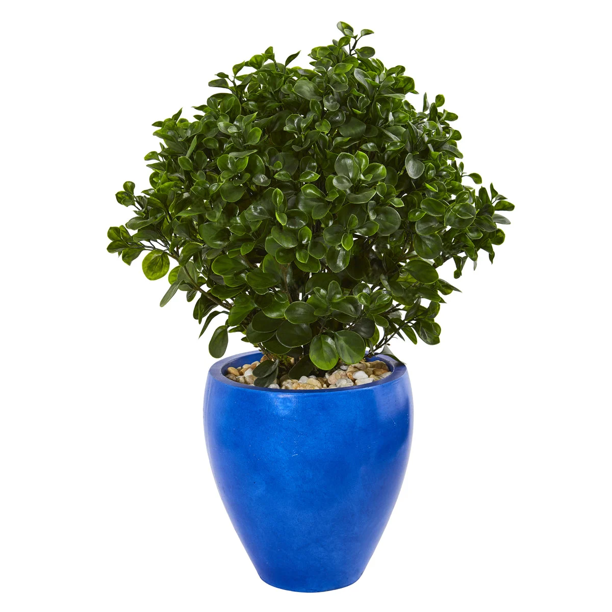 Nearly Natural 9470 32" Artificial Green Peperomia Plant in Blue Planter, UV Resistant (Indoor/Outdoor)