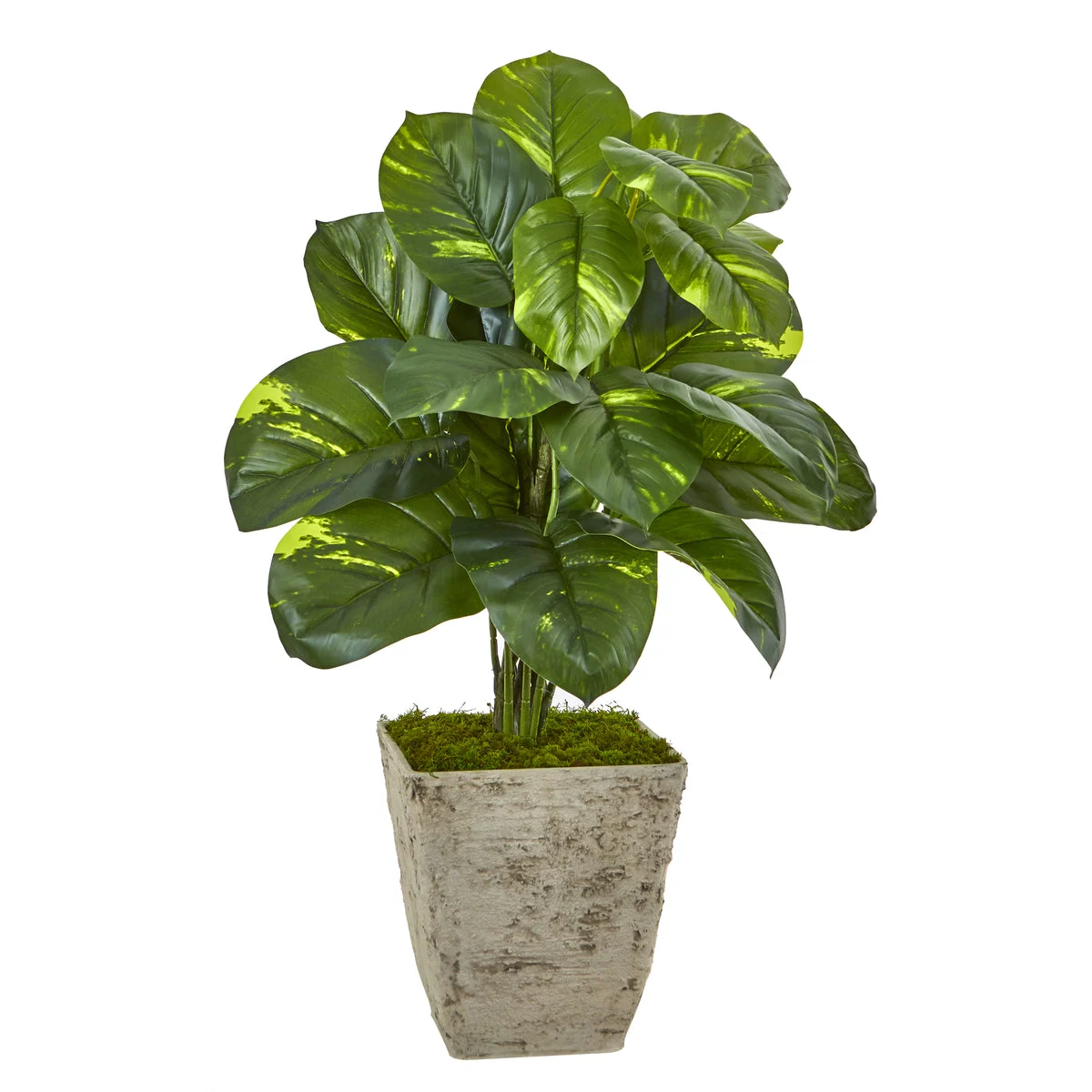 Nearly Natural 8806 33" Artificial Green Dieffenbachia Plant in Country White Planter