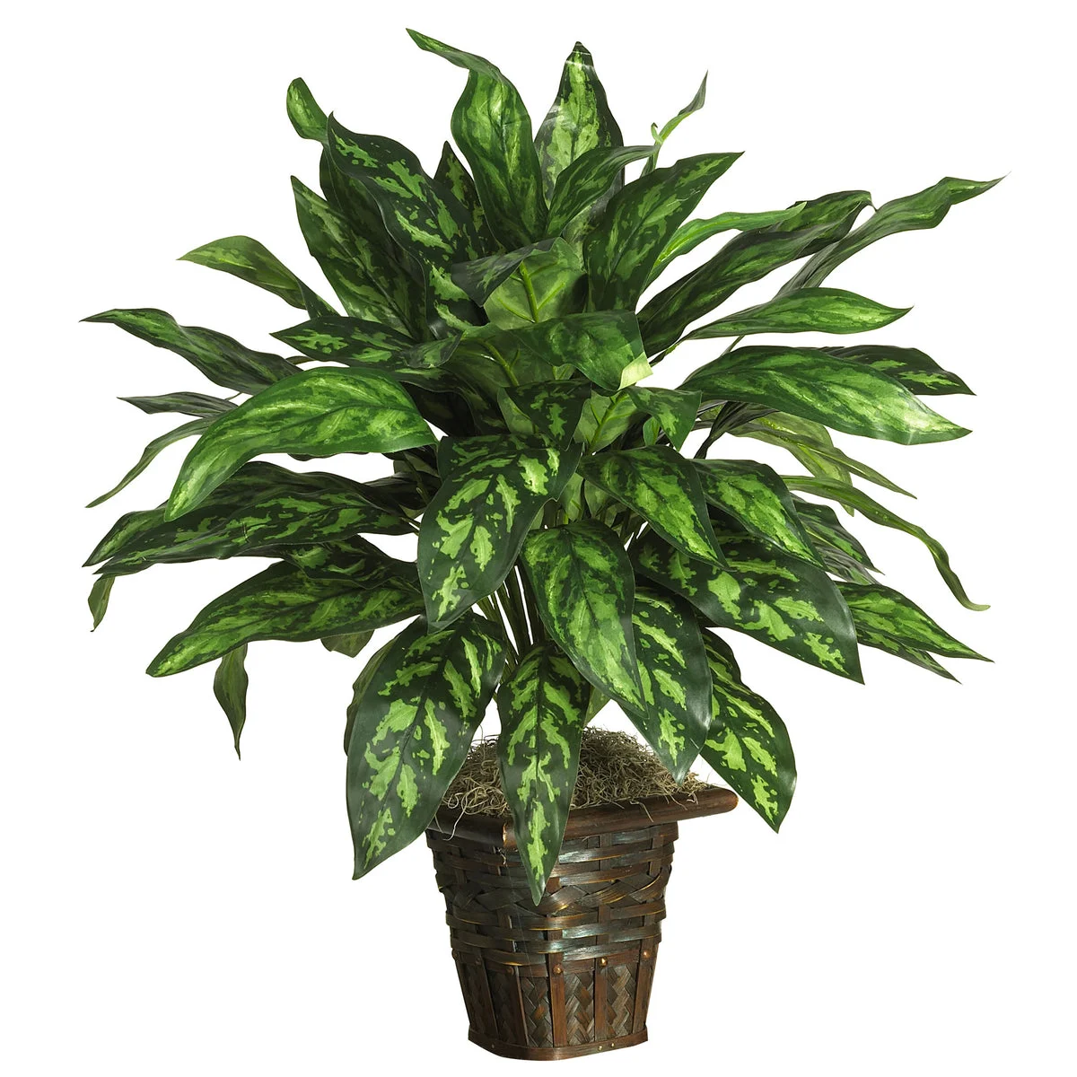 Nearly Natural Silver King w/Basket Silk Plant