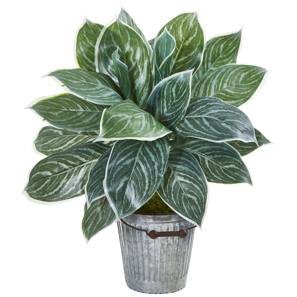 Nearly Natural 8649 24" Artificial Green Real Touch Silver Aglonema Plant in Decorative Bucket