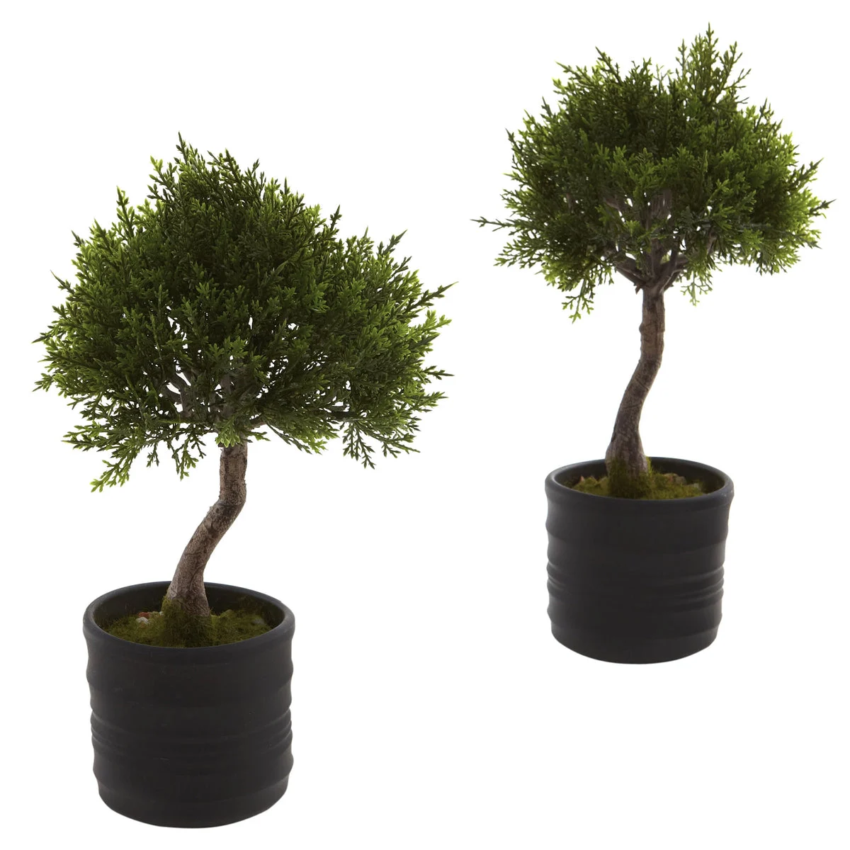 Nearly Natural 4965-S2 11.5" Artificial Green Cedar Bonsai with Planter, Set of 2