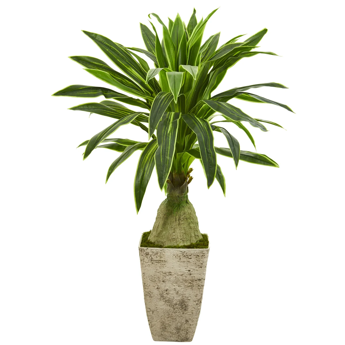 Nearly Natural P1249 62" Artificial Green Dracaena Plant in Country White Planter