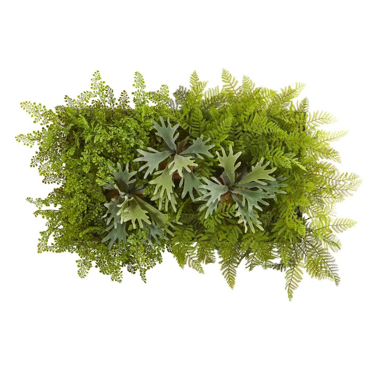 Nearly Natural 8320 38" x 23" Artificial Green Staghorn & Fern Living Wall