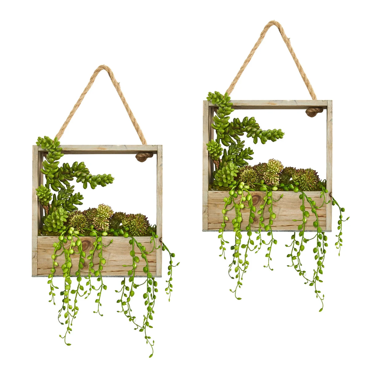 Nearly Natural 8366-S2 8" Artificial Succulent Garden Plant in Decorative Hanging Frame, Set of 2