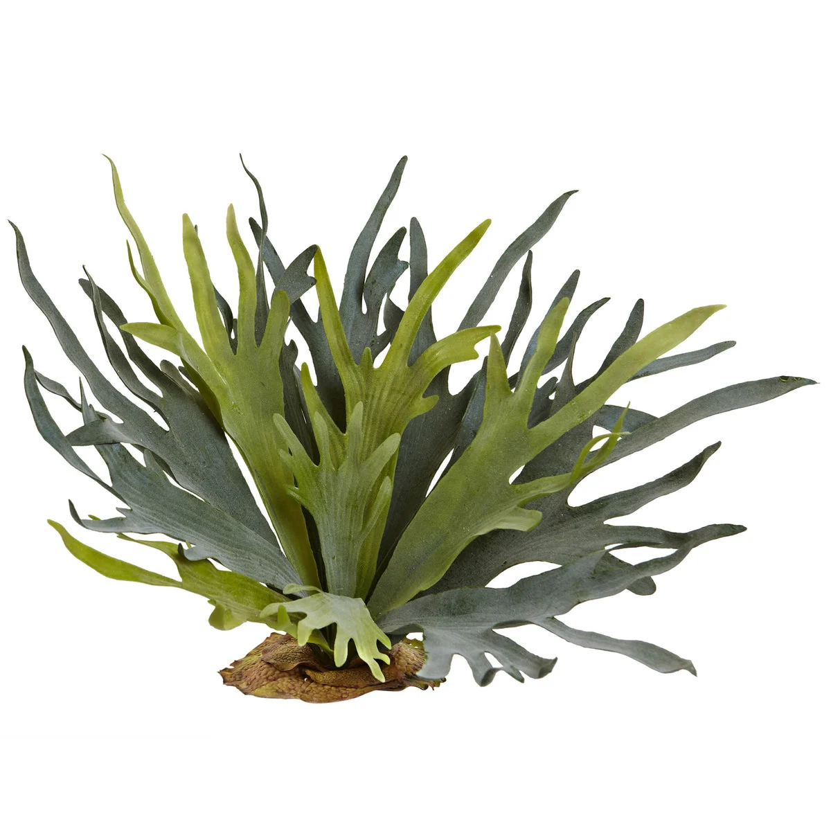 Nearly Natural 6107-S2 21" Artificial Green Staghorn Fern, Set of 2