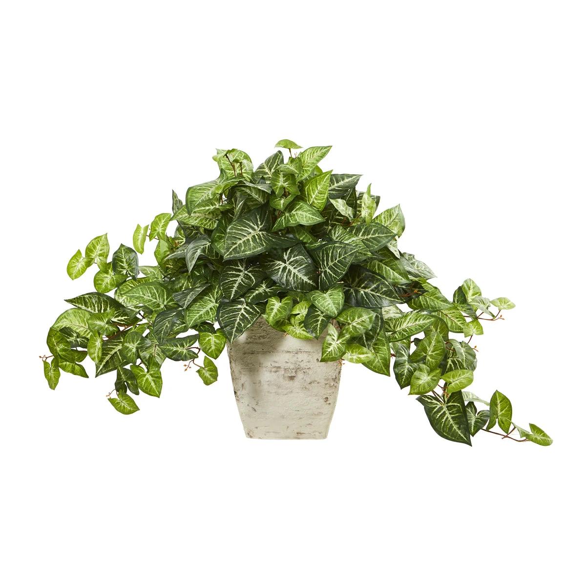 Nearly Natural 8795 24" Artificial Green Nepthytis Plant in Country White Planter