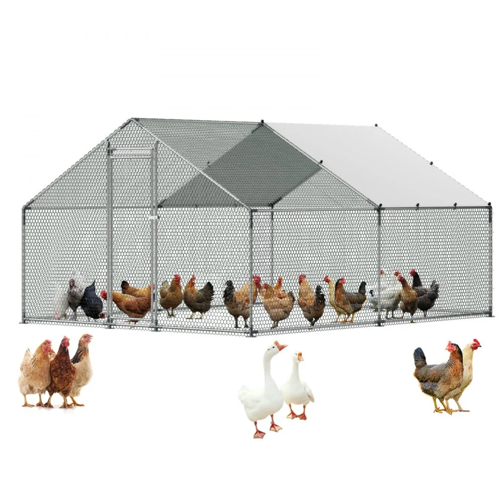 Summer Sale
VEVOR Large Metal Chicken Coop, 9.8 x 13.1 x 6.6 ft, Walk-in Chicken Runs with Waterproof Cover, Spire Roof Hen House Enclosure with Lock, Outdoor Duck Rabbit Cage Poultry Pen for Backyard, Farm, Yard
