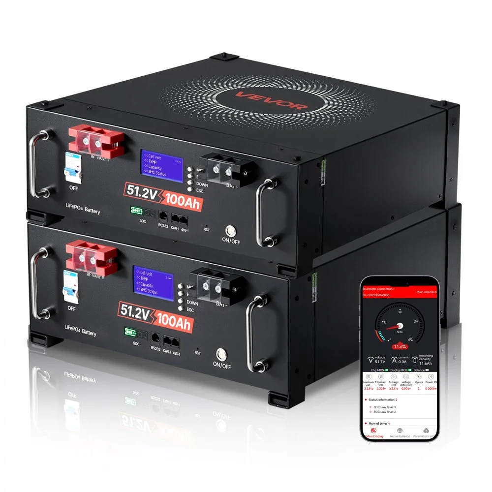 Summer Sale
VEVOR 48V 200Ah LiFePO4 Lithium Battery, 2 Pack 100Ah, 10.24kWh Capacity, 51.2V Server Rack LiFePO4 Battery with Bluetooth, Max 6000 Cycles, LCD Display, for Off-Grid, Solar System, Backup Power